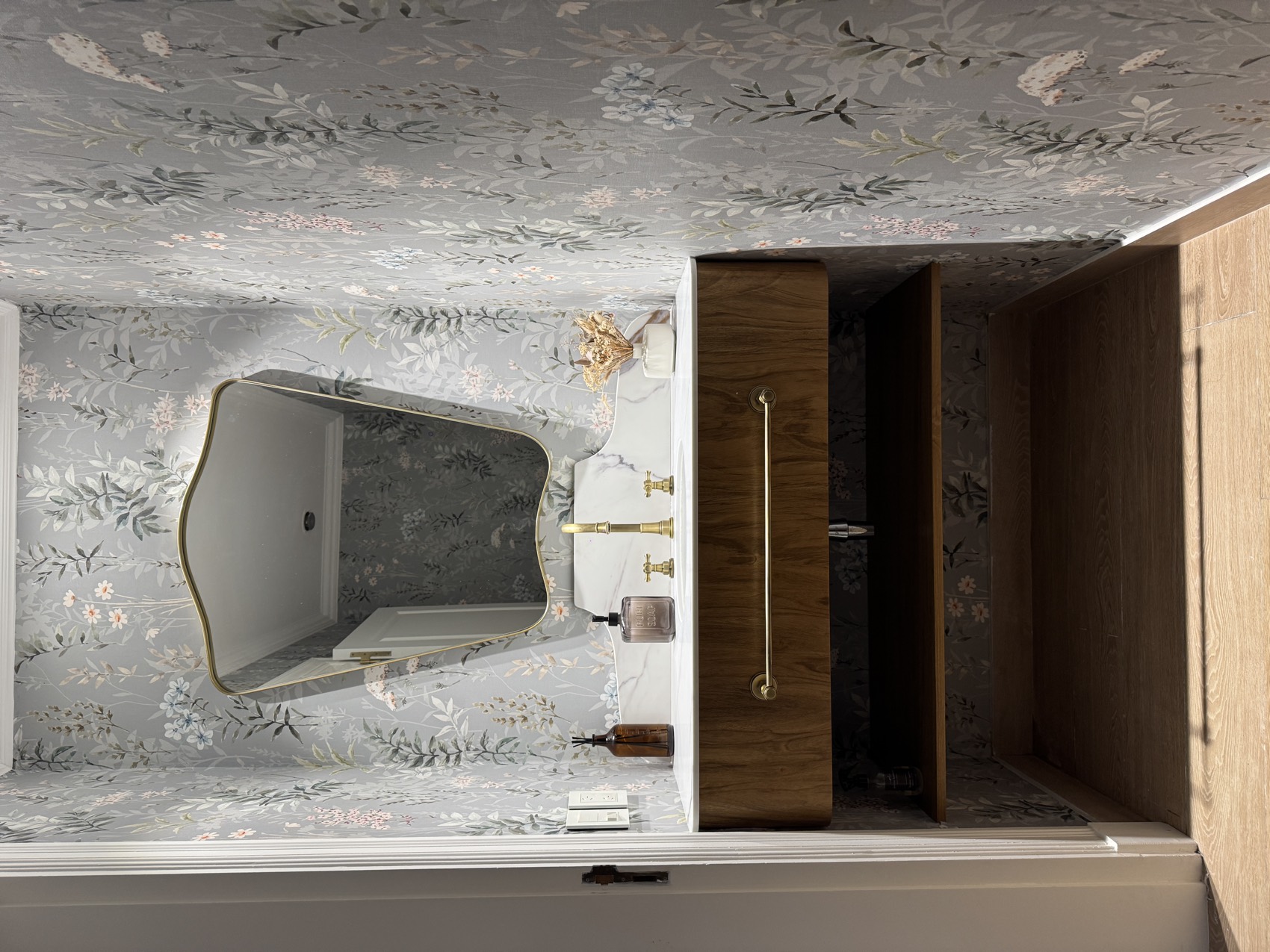 Castores · estudio LOSA