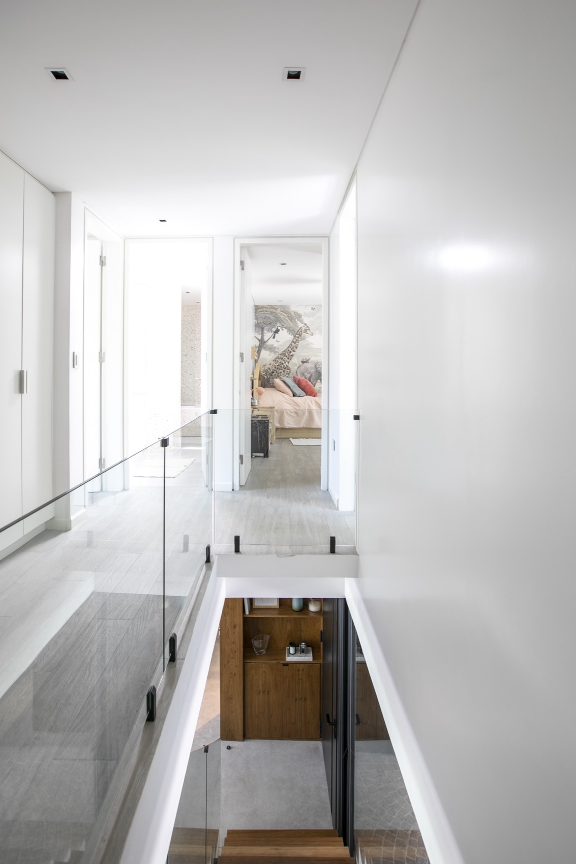Antártida · estudio LOSA
